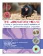 Laboratory Mouse - Preview