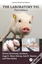 Laboratory Pig