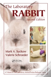 Laboratory Rabbit