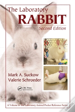 Capa do artigo Laboratory Rabbit