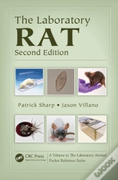 Laboratory Rat