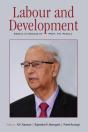 Labour And Development - Preview