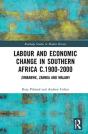 Labour And Economic Change In Southern Africa C.1900-2000 - Preview