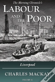 Capa do artigo Labour And The Poor Volume X