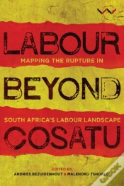 Capa do artigo Labour Beyond Cosatu