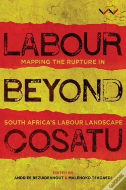 Capa do artigo Labour Beyond Cosatu