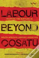 Labour Beyond Cosatu