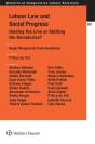 Labour Law And Social Progress - Preview