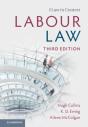 Labour Law - Preview