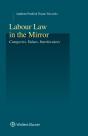 Labour Law In The Mirror - Preview