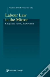 Capa do artigo Labour Law In The Mirror