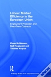 Labour Market Efficiency In The European Union