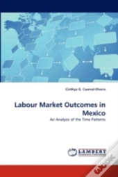 Labour Market Outcomes In Mexico