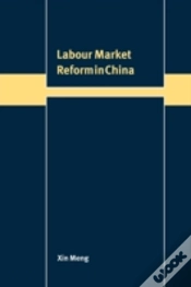 Capa do artigo Labour Market Reform In China