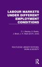 Labour Markets Under Different Employment Conditions - Preview