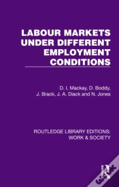Capa do artigo Labour Markets Under Different Employment Conditions