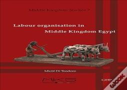 Labour Organisation In Middle Kingdom Egypt