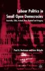 Labour Politics In Small Open Democracies - Preview