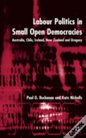 Capa do artigo Labour Politics In Small Open Democracies