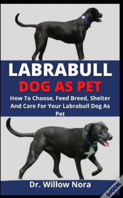 Capa do artigo Labrabull Dog As Pet