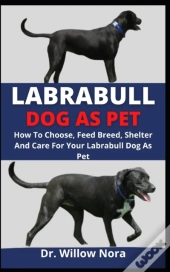 Labrabull Dog As Pet