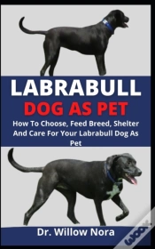 Capa do artigo Labrabull Dog As Pet