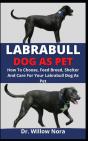 Labrabull Dog As Pet - Preview