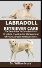 Labradoll Retriever Care - Preview
