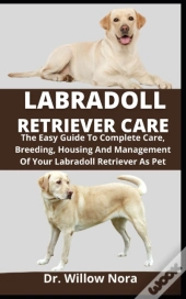 Labradoll Retriever Care