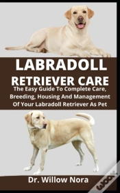 Capa do artigo Labradoll Retriever Care