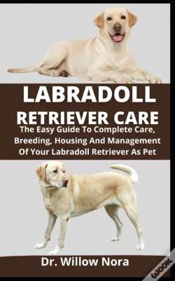 Capa do artigo Labradoll Retriever Care