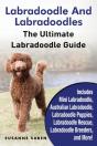 Labradoodle And Labradoodles - Preview