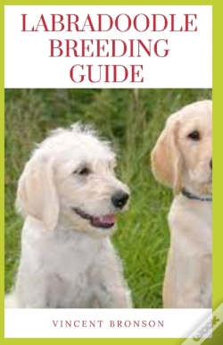 Capa do artigo Labradoodle Breeding Guide