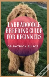 Capa do artigo Labradoodle Breeding Guide For Beginners