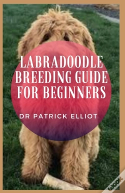 Capa do artigo Labradoodle Breeding Guide For Beginners