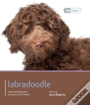 Capa do artigo Labradoodle - Dog Expert