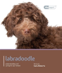 Labradoodle - Dog Expert - Preview