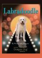 Labradoodle - Preview