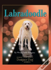 Labradoodle