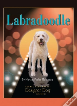 Capa do artigo Labradoodle