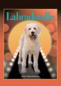 Labradoodle - Preview