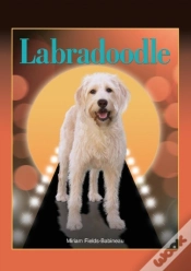 Capa do artigo Labradoodle