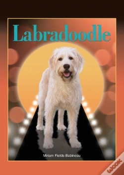 Capa do artigo Labradoodle