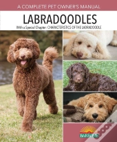 Labradoodles