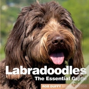Capa do artigo Labradoodles