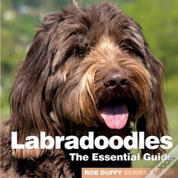 Capa do artigo Labradoodles