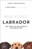 Labrador