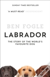 Capa do artigo Labrador