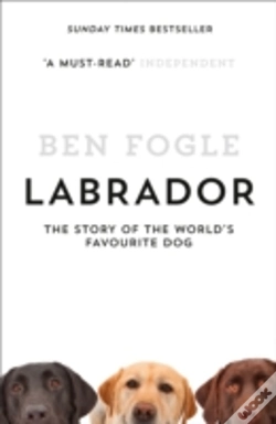 Capa do artigo Labrador
