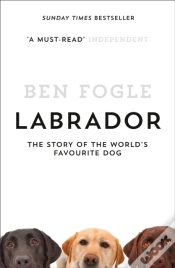 Capa do artigo Labrador